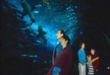 San Francisco Family Fun Adventure